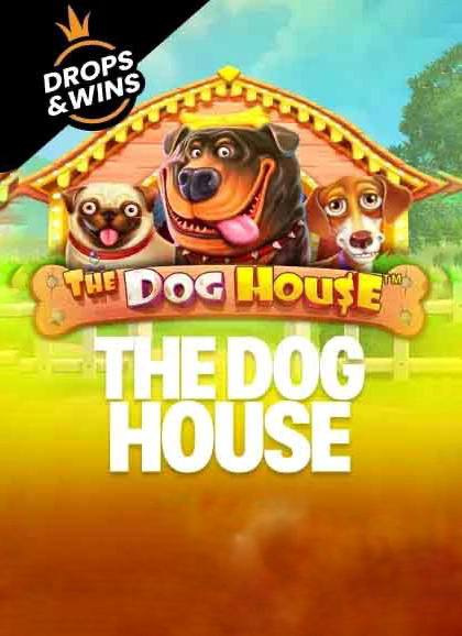 The Dog House — Dragon Money